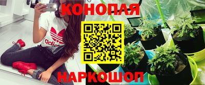 гашишное масло Беслан
